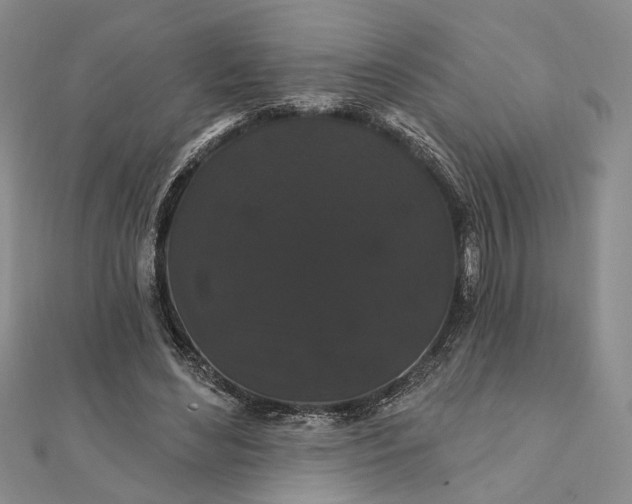 X0000111910492200908101204