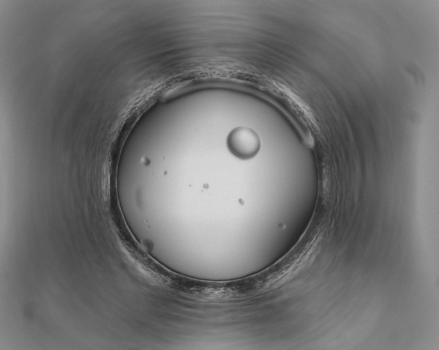 X0000111910493200908101204