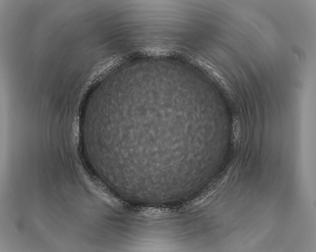 X0000111910494200908101204