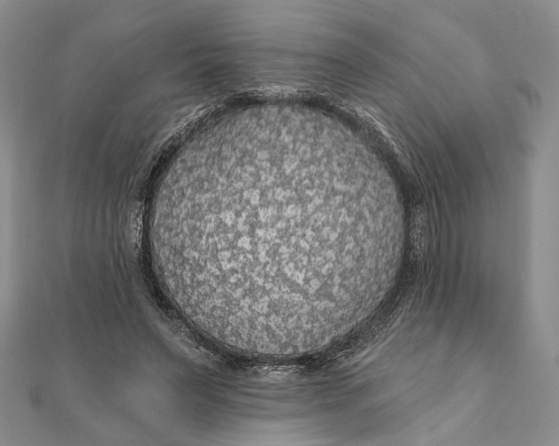 X0000111910495200908101204