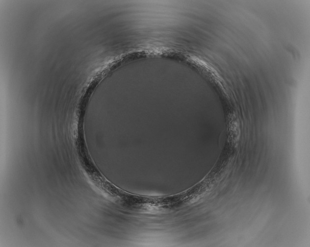 X0000111910496200908101204