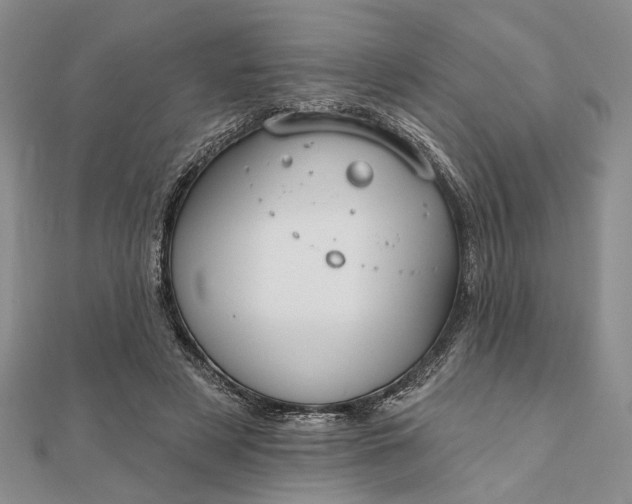 X0000111910497200908101204