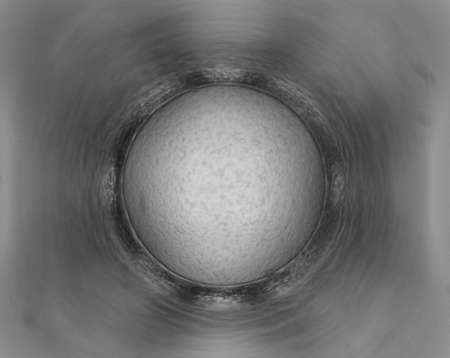 X0000111910498200908101204