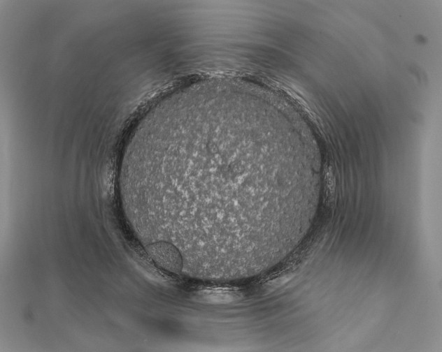 X0000111910499200908101204