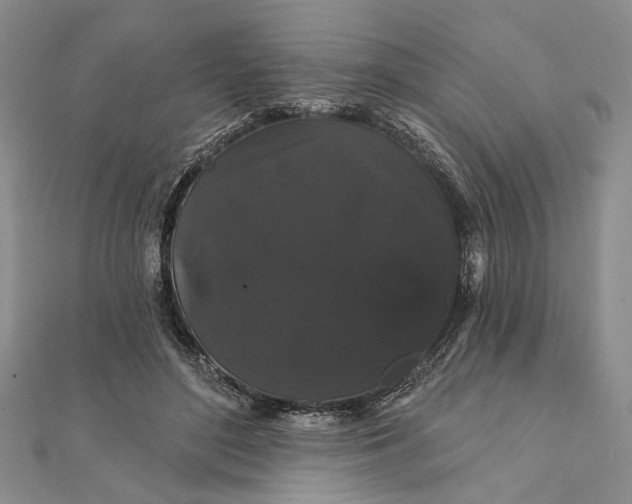 X0000111910500200908101204