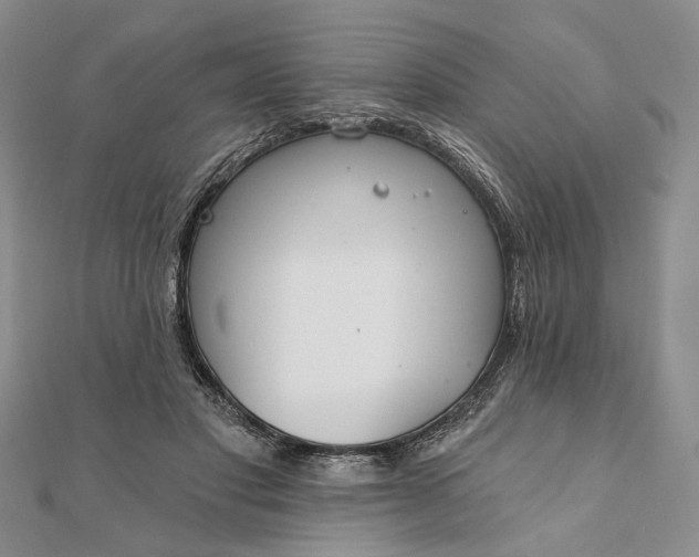 X0000111910501200908101204