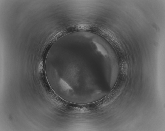 X0000111910502200908101204