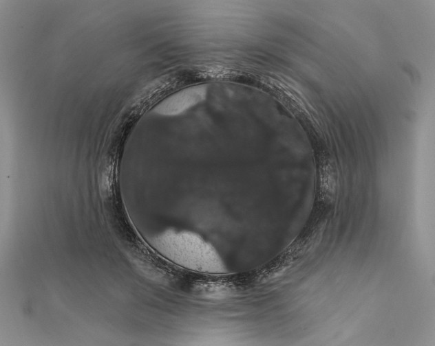 X0000111910503200908101204