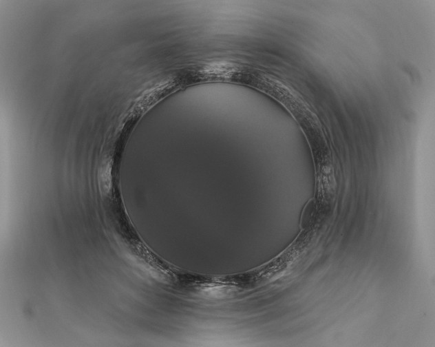 X0000111910504200908101204