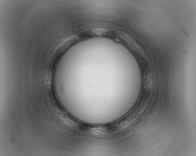 X0000111910505200908101204