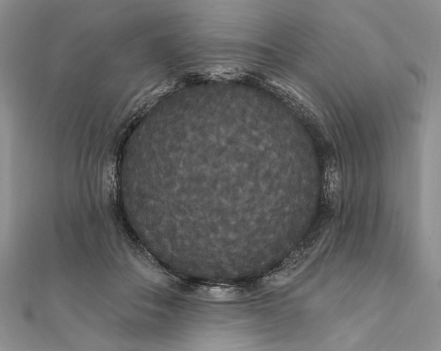 X0000111910506200908101204