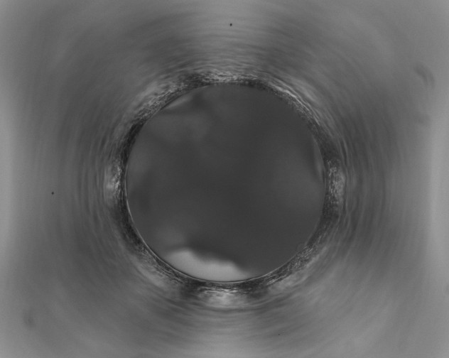 X0000111910507200908101204