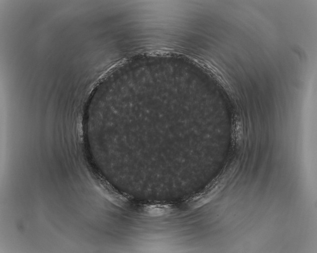 X0000111910508200908101203