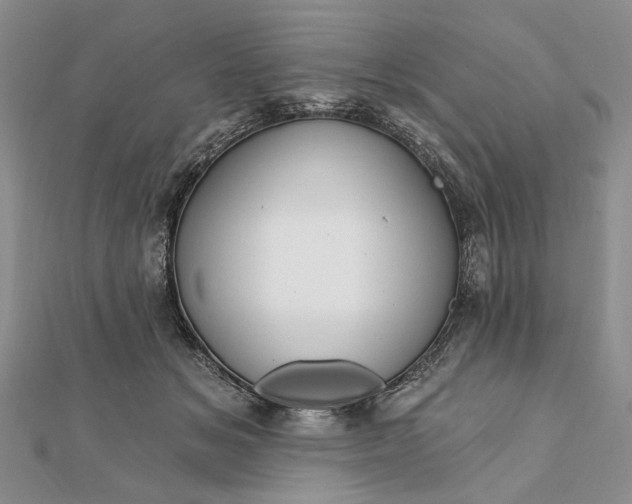 X0000111910509200908101203