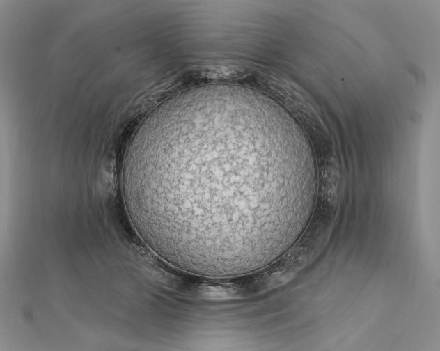 X0000111910510200908101203