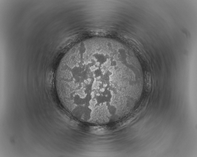 X0000111910511200908101203