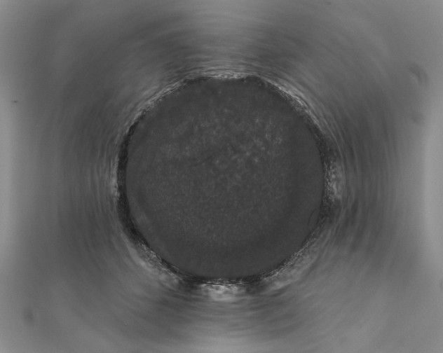 X0000111910512200908101203