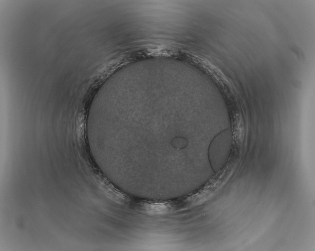 X0000111910513200908101203