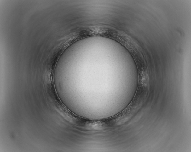 X0000111910514200908101203