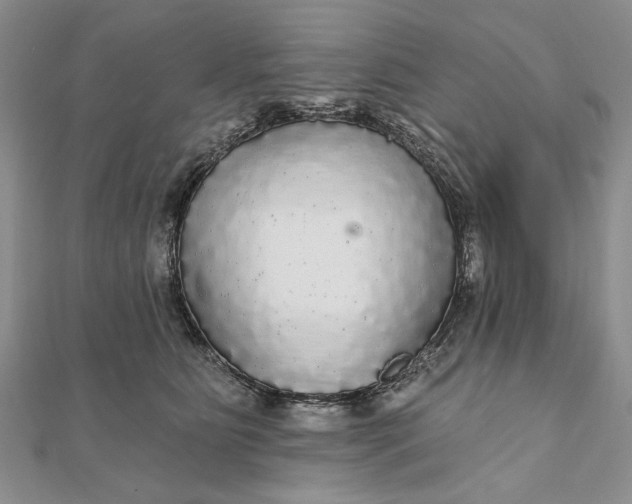 X0000111910515200908101203