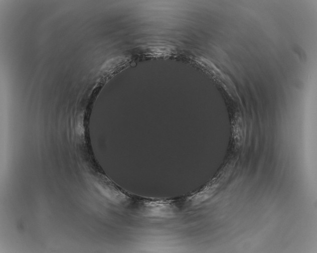 X0000111910516200908101203