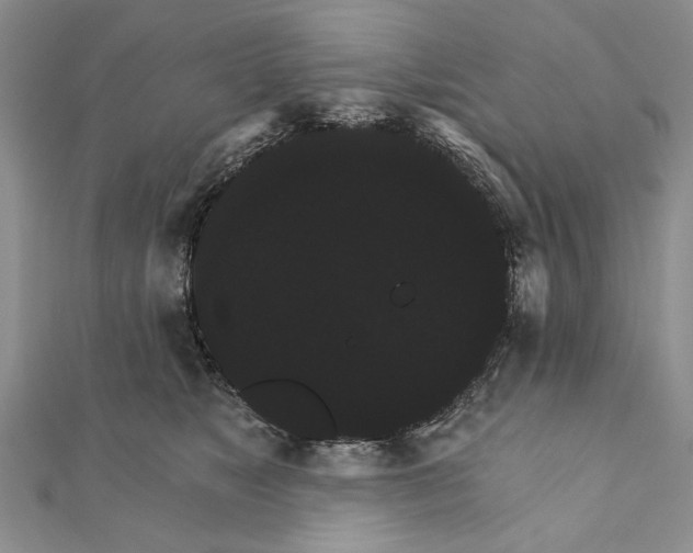 X0000111910517200908101203