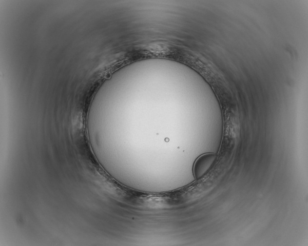 X0000111910518200908101203