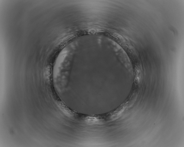 X0000111910519200908101203