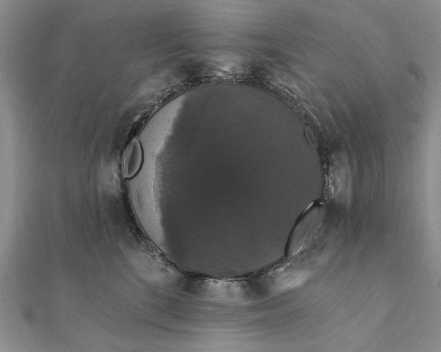 X0000111910520200908101203