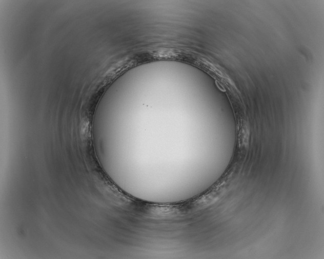 X0000111910521200908101203