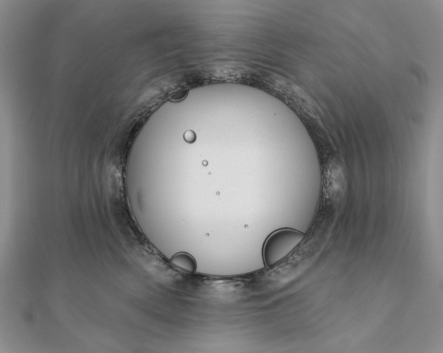 X0000111910522200908101203