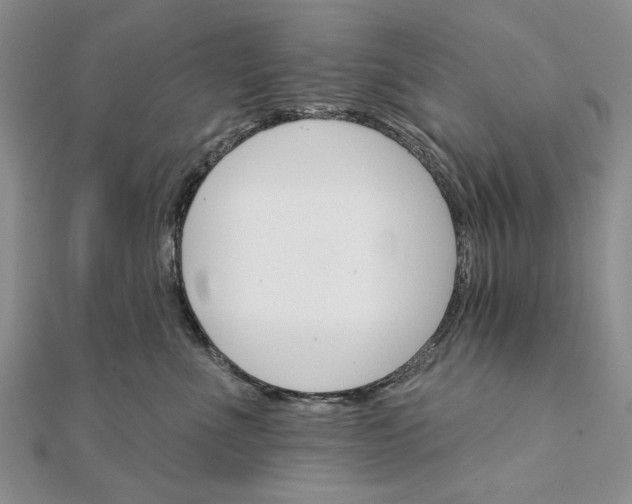 X0000111910523200908101203