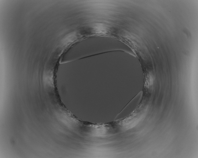 X0000111910524200908101203