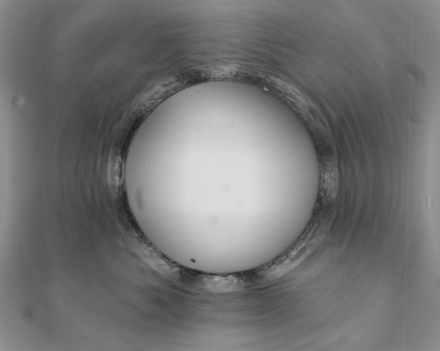 X0000111910525200908101203