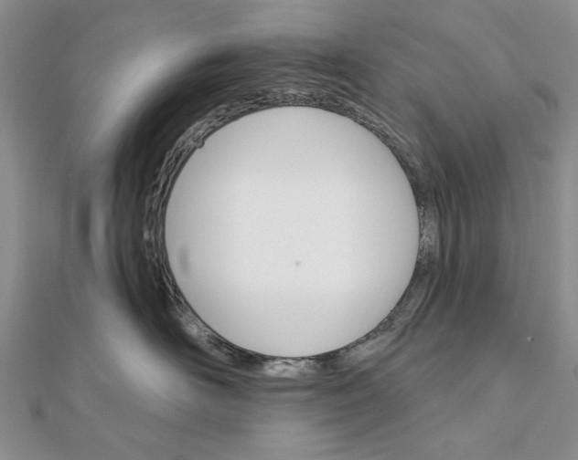 X0000111910526200908101203