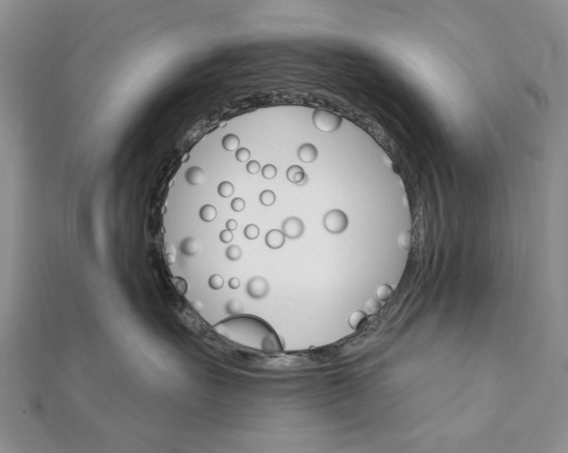 X0000111910527200908101203