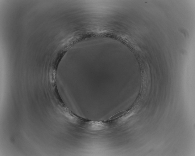 X0000111910528200908101203