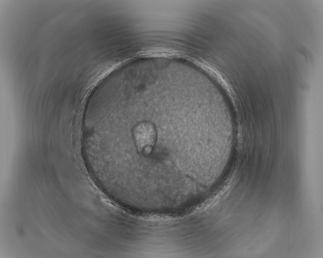 X0000111910529200908101203