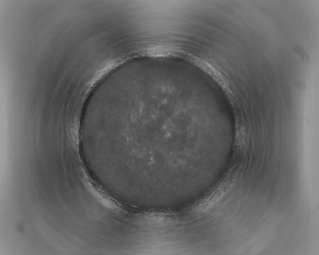 X0000111910530200908101203