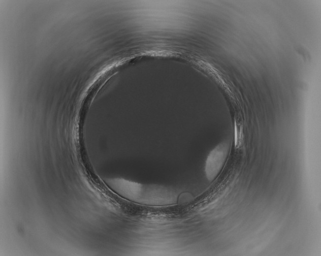 X0000111910531200908101203