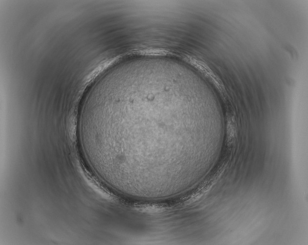 X0000111910533200908101203