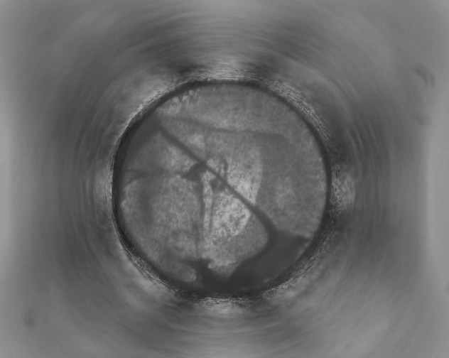 X0000111910534200908101203