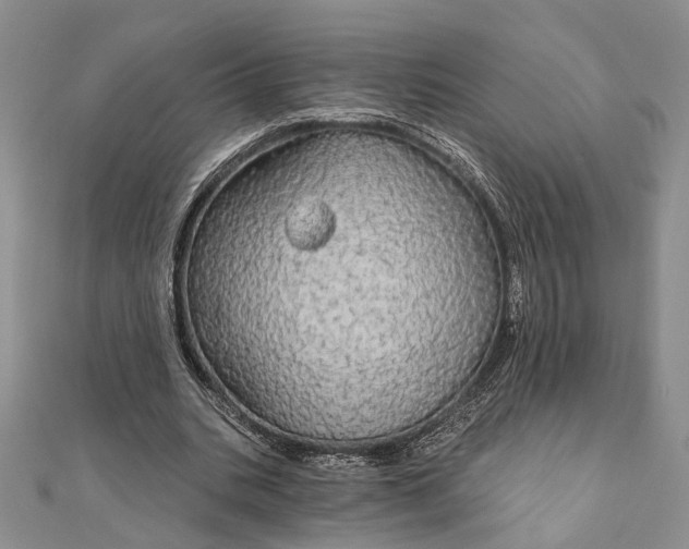 X0000111910535200908101203