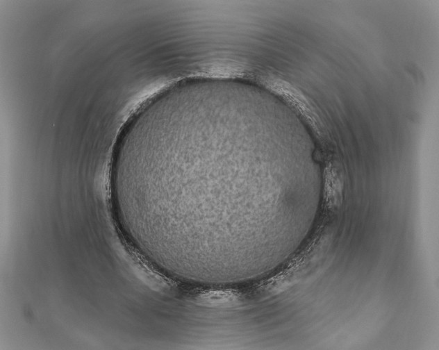 X0000111910536200908101203