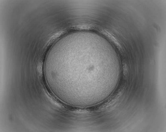 X0000111910537200908101203