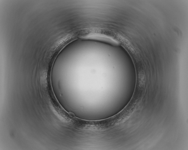 X0000111910538200908101203