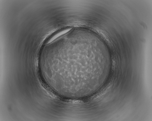 X0000111910539200908101203