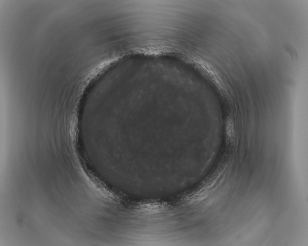 X0000111910540200908101203