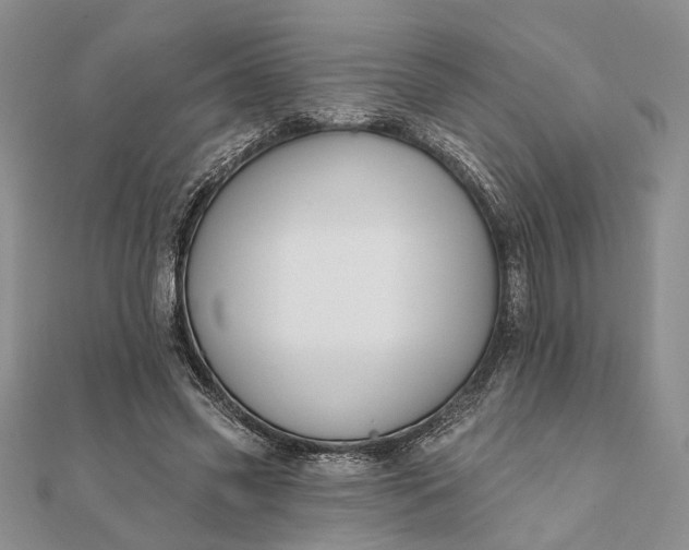 X0000111910541200908101203