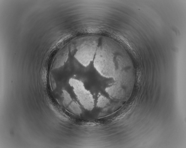 X0000111910542200908101203